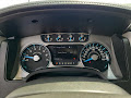 2013 Ford F-150 Platinum