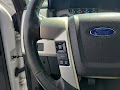 2013 Ford F-150 Platinum