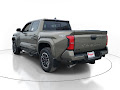 2026 Toyota Tacoma 4WD TRD Sport