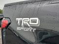 2026 Toyota Tacoma 4WD TRD Sport